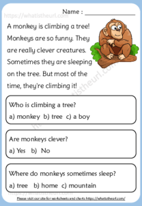 Reading Comprehension for kids – Exercise 25 - Your Home Teacher