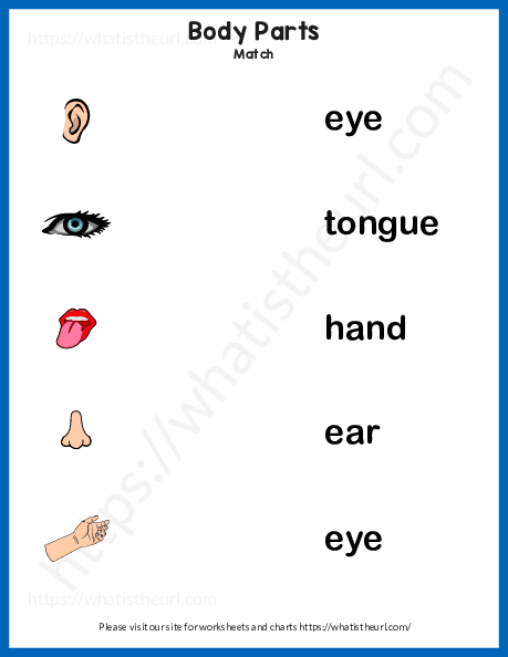 worksheets for grade 1 body parts