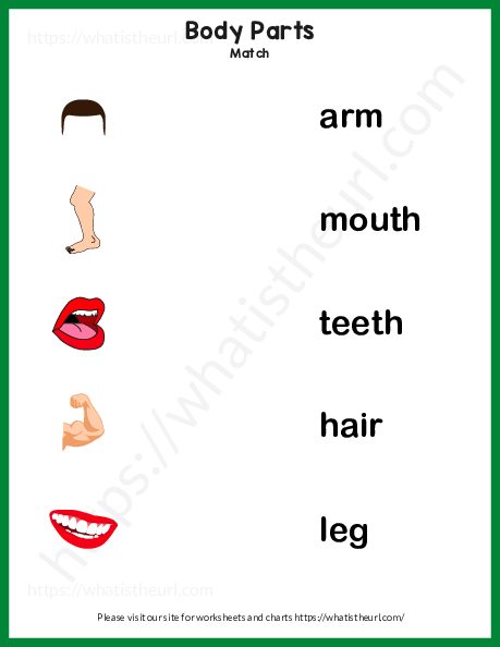my body parts esl worksheet for kids identify and draw by