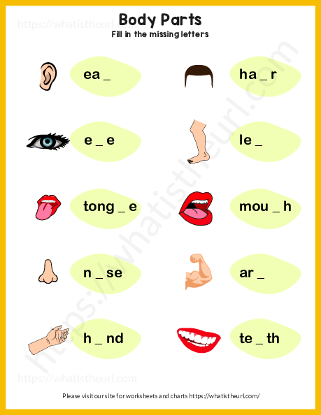 body parts worksheet for kids your home teacher
