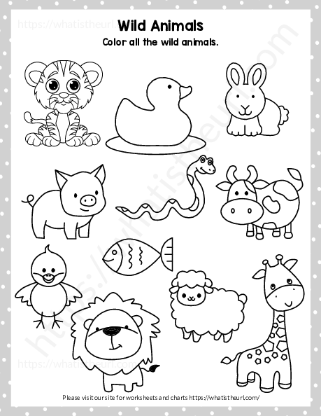 Find and color the wild animals - Your Home Teacher