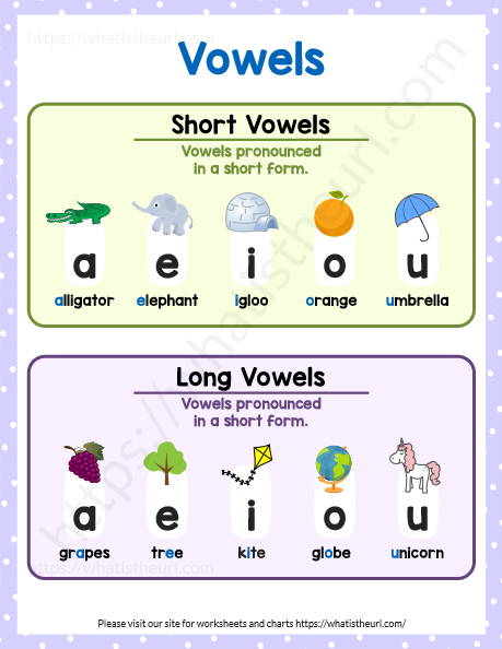 Vowels Digraphs Book - Your Home Teacher