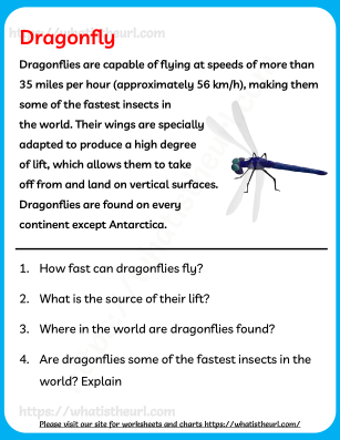 Dragonfly - Reading Comprehension for Grade 2