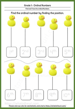 Grade 1 Ordinal Numbers - Duck