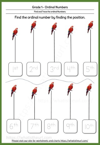 Grade 1 Ordinal Numbers - Parrot