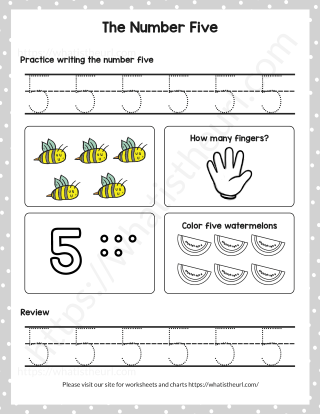 Number 1 to 10 - Learn to Count for KG- Number 5