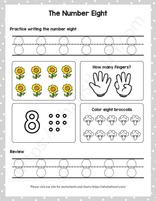 Number 1 to 10 - Learn to Count for KG- Number 8