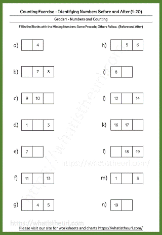 Counting Exercise - Identifying Numbers Before and After (1-20)