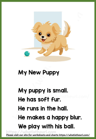 My New Puppy Small Reading Comprehension Passage