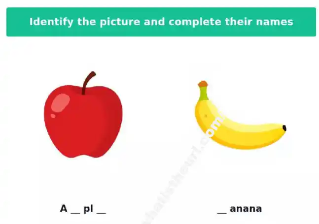 identify the picture and complete their names