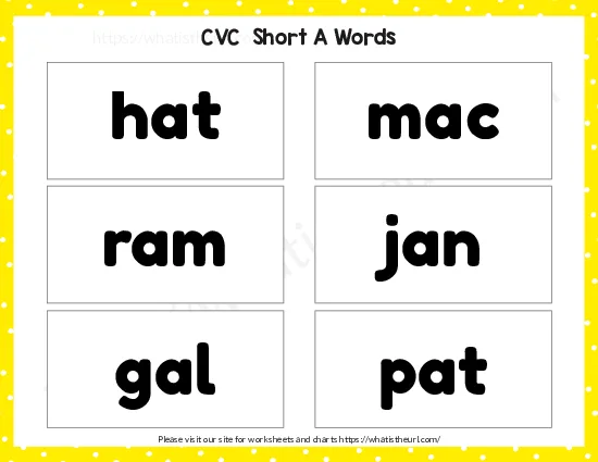 CVC Words Flashcards worksheet preview CVC Words Flashcards worksheet preview