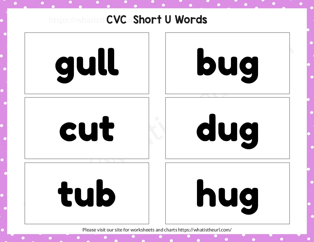 CVC Words Flashcards worksheet preview CVC Words Flashcards worksheet preview