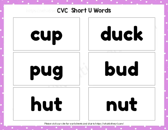 CVC Words Flashcards worksheet preview CVC Words Flashcards worksheet preview