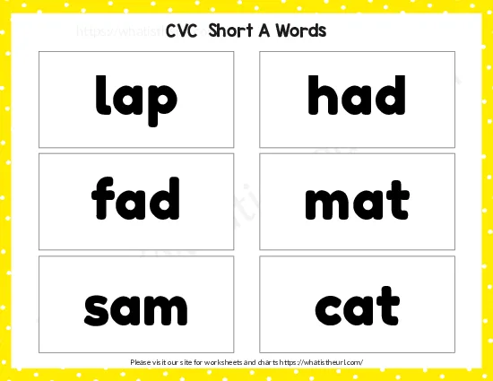 CVC Words Flashcards worksheet preview CVC Words Flashcards worksheet preview