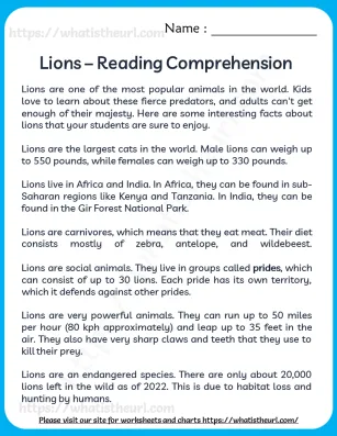 Lion - Reading Comprehension worksheet preview