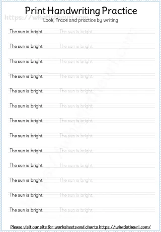 Print Handwriting Practice with 100 Sentences worksheet preview