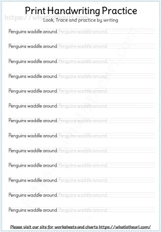 Print Handwriting Practice with 100 Sentences worksheet preview