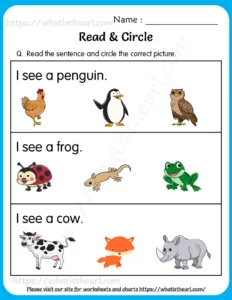 Read & Circle Worksheets for Grade 1 worksheet preview