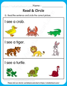 Read & Circle Worksheets for Grade 1 worksheet preview