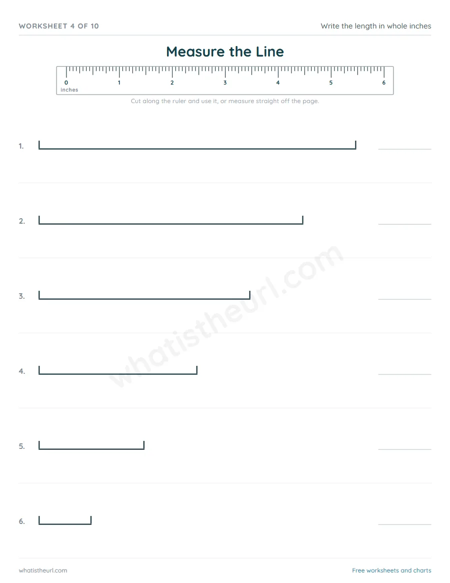Measuring worksheet - Measure the Line