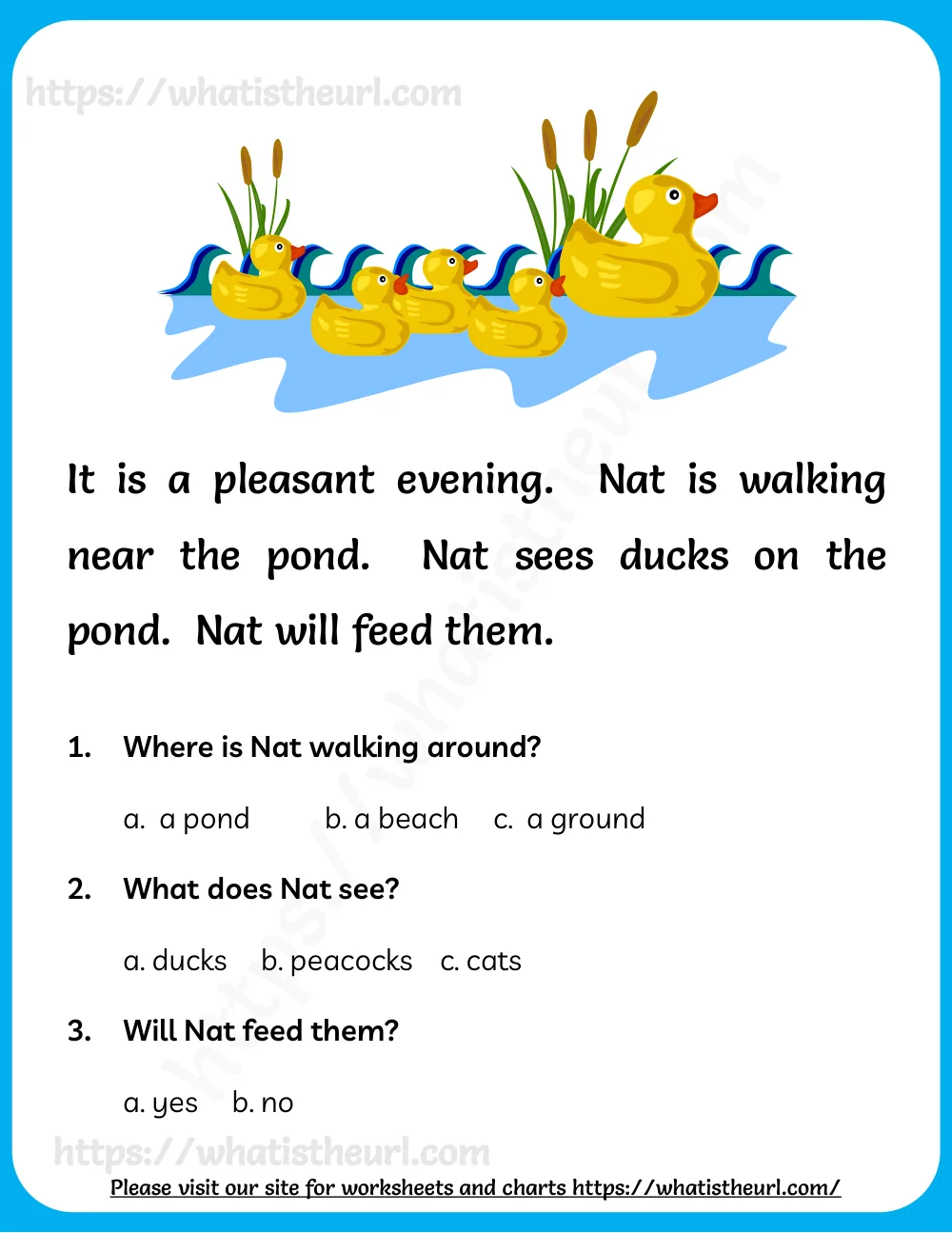 reading comprehension for kids - ducks in a pond - passage with multiple choice questions