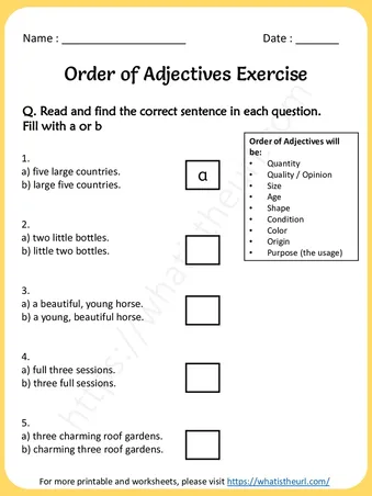 Ordering Adjectives Worksheet – Exercise 1 worksheet preview Ordering Adjectives Worksheet – Exercise 1 worksheet preview