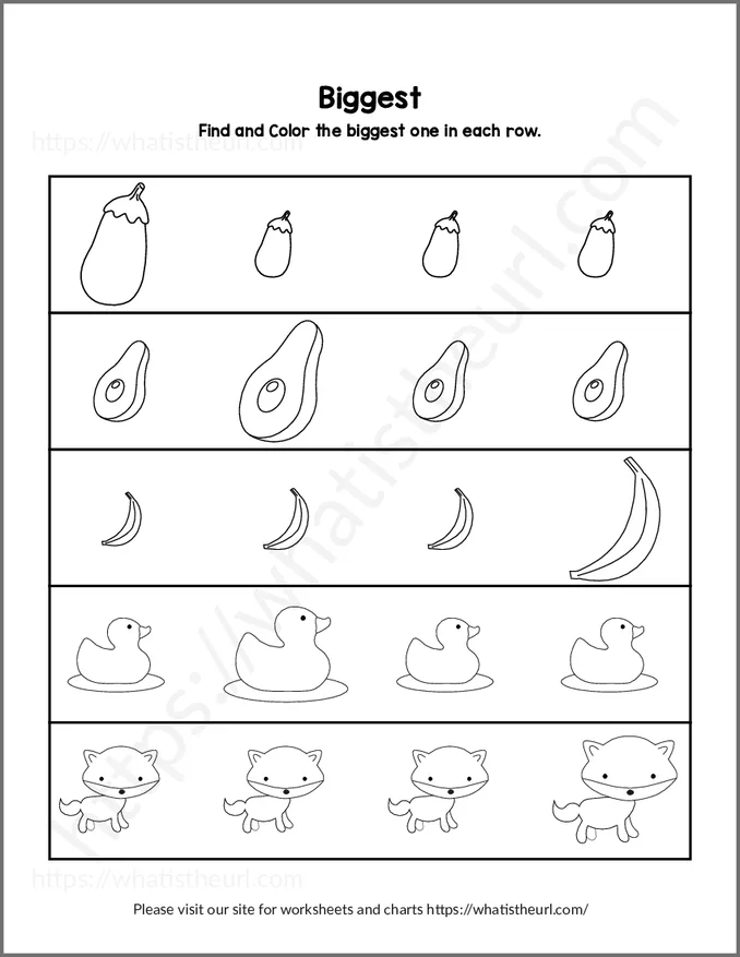 Find and Color the Biggest One