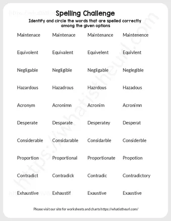 Spelling Challenge worksheet preview Spelling Challenge worksheet preview