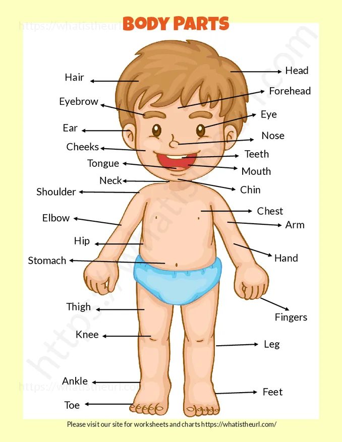 Body Parts - A Free to Print Kids Book