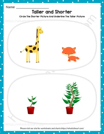 Tall Short Worksheets for Kindergarten – Exercise 1 worksheet preview Tall Short Worksheets for Kindergarten – Exercise 1 worksheet preview