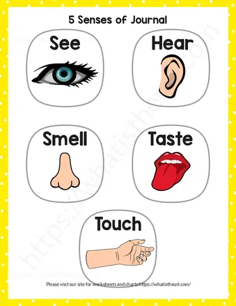 A Big Book of 5 Senses Science for Little Kids in Pre School, Pre-K and Kindergarten worksheet preview