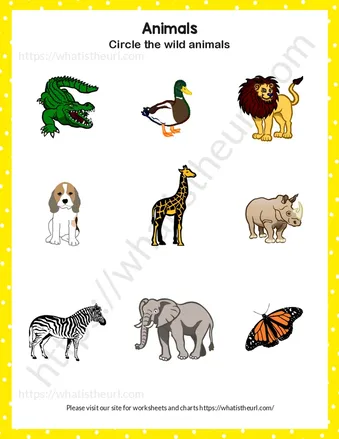 Find and circle the wild animals worksheet preview Find and circle the wild animals worksheet preview