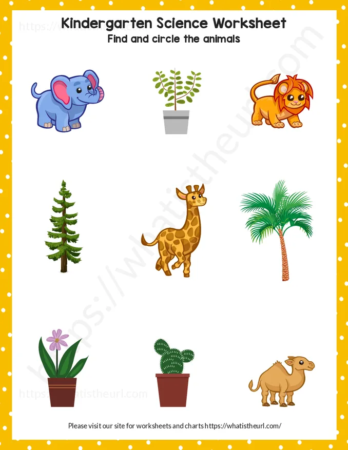 Plant or Animal Worksheet for Kindergarten - Exercise 1