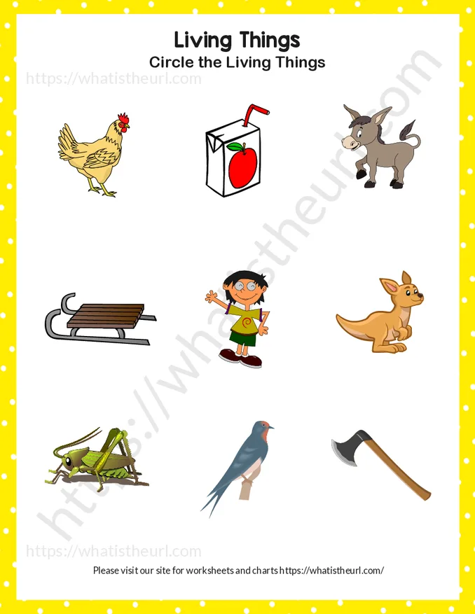 Find and Circle Living things - Exercise 1