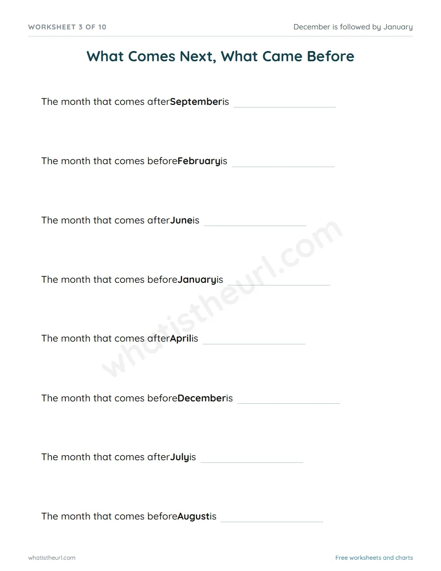 Months of the year worksheet - What Comes Next, What Came Before