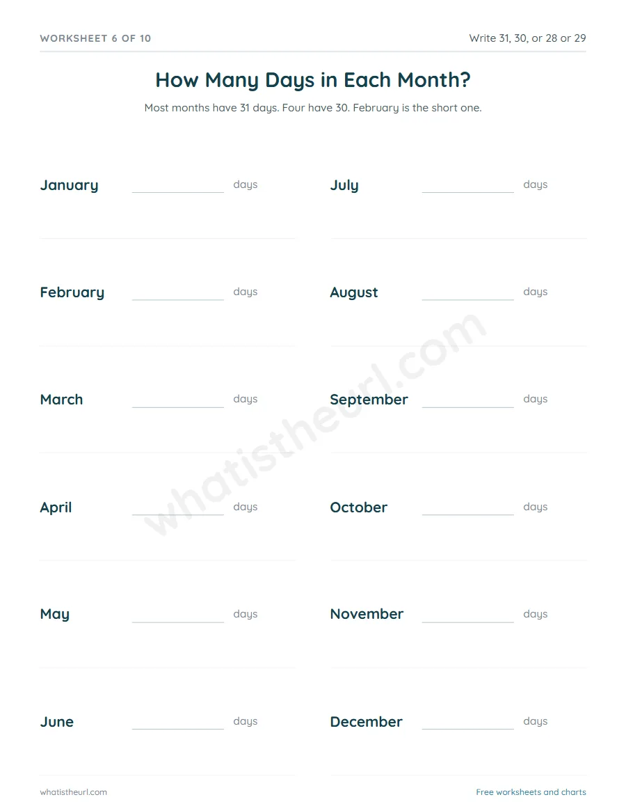 Months of the year worksheet - How Many Days in Each Month?