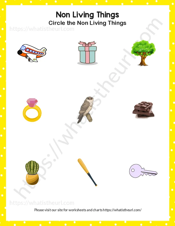 Find and Circle Non-living things - Exercise 1