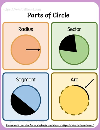 Parts of Circle for Kids worksheet preview