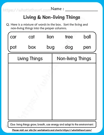 Living and Non-living Things Worksheet for Grade 1 worksheet preview