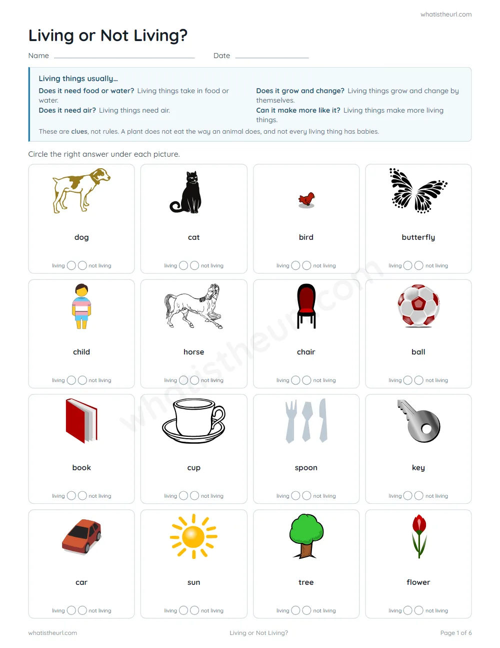 Living and non-living things worksheet - kindergarten sort