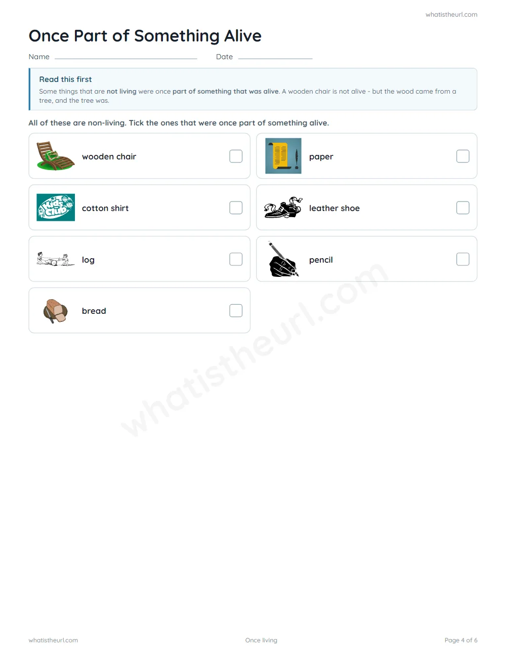 Living and non-living things worksheet - once part of something alive
