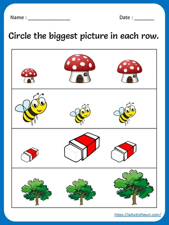 Which is Bigger Worksheets for kids worksheet preview