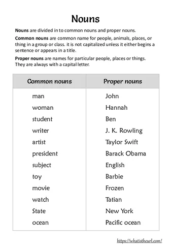 Types of Nouns with Exercises – Includes PDF Download worksheet preview