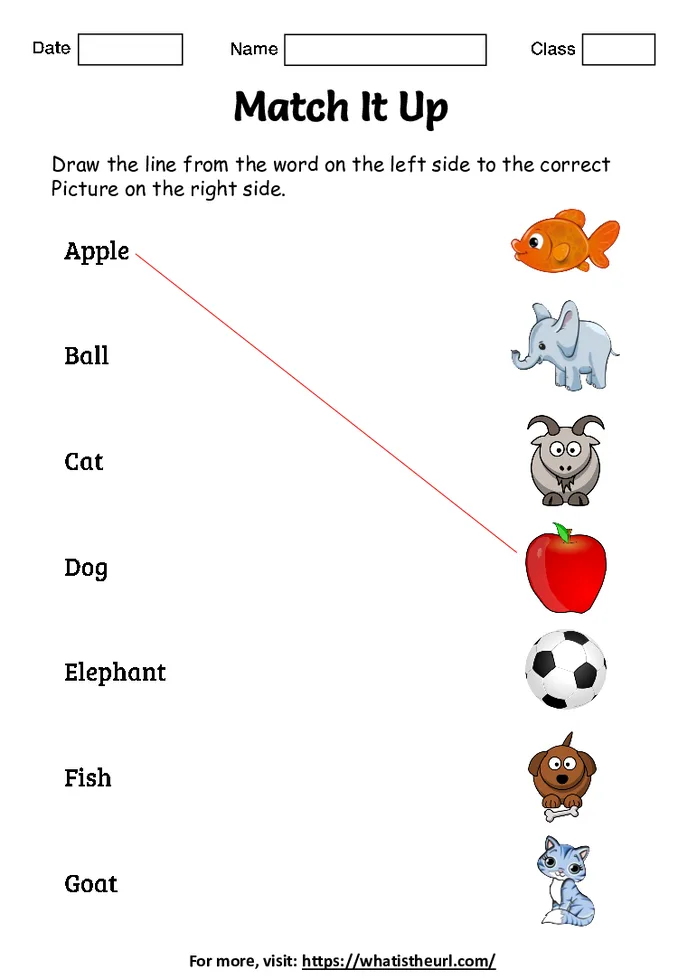 Alphabetical Vocabulary Match Up for Kids