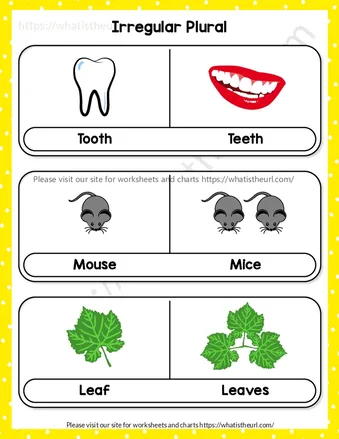 Chart & Worksheet on Irregular Plurals worksheet preview Chart & Worksheet on Irregular Plurals worksheet preview