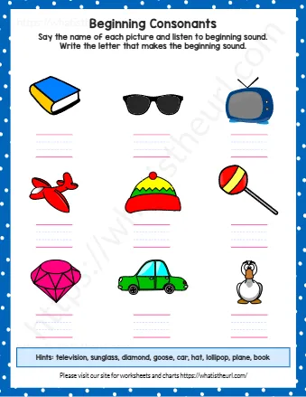 Hints Television Sunglass Diamond Goose Car Hat Lollipop Plane Book