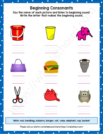 Hints Owl Handbag Scissors Burger Cat Vase Elephant Cup Bucket