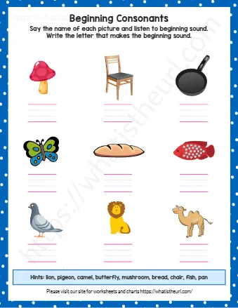 Hints Lion Pigeon Camel Butterfly Mushroom Bread Chair Fish Pan