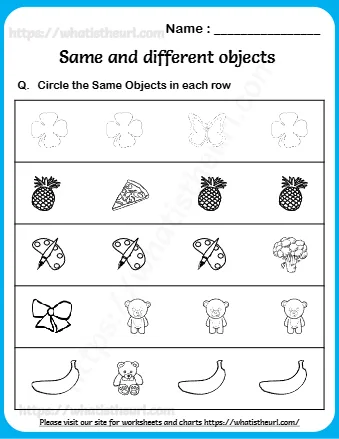 Same And Different Objects