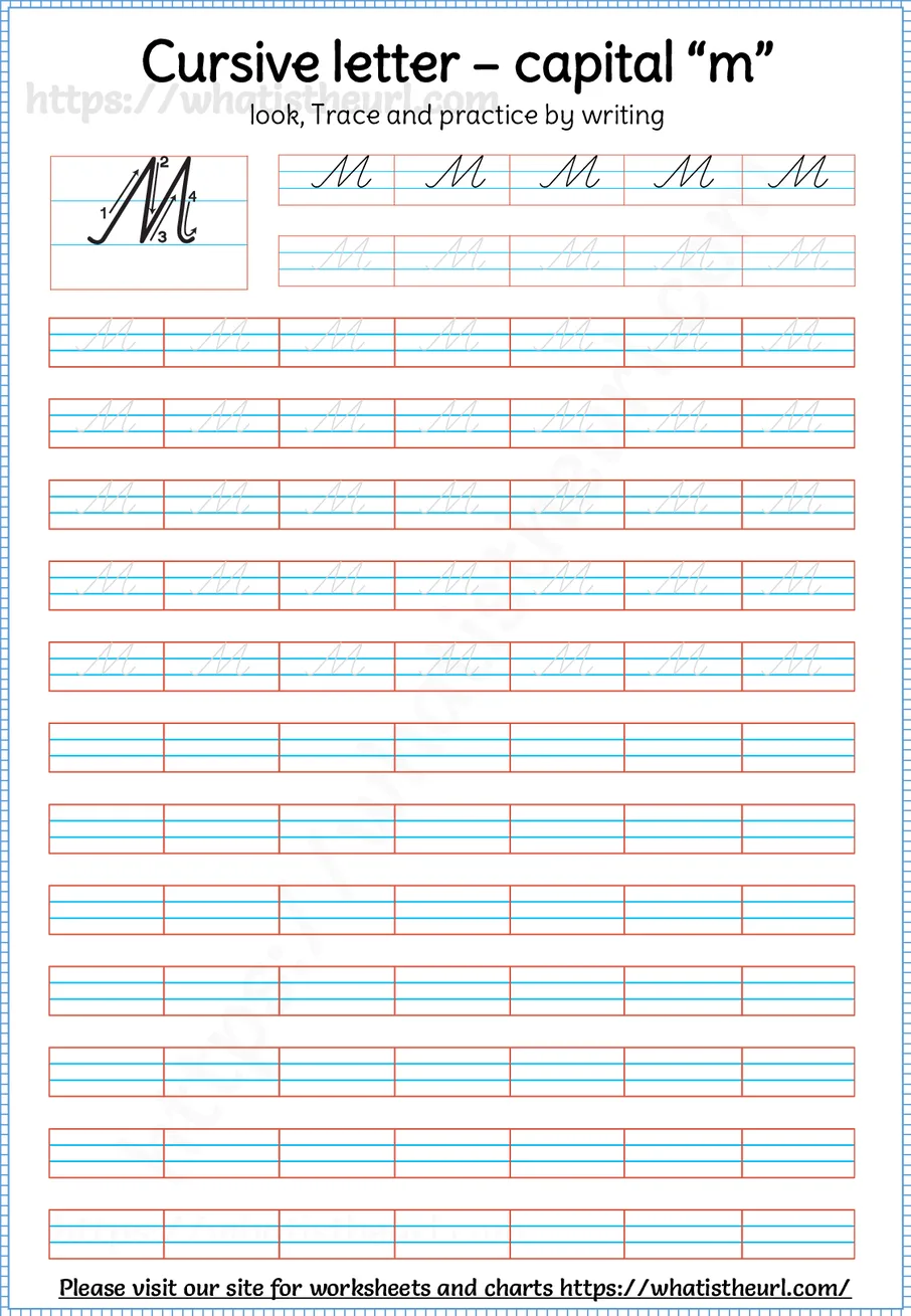 Cursive capital letter M worksheet with stroke order guide, dotted tracing rows and blank practice lines
